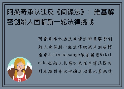 阿桑奇承认违反《间谍法》：维基解密创始人面临新一轮法律挑战