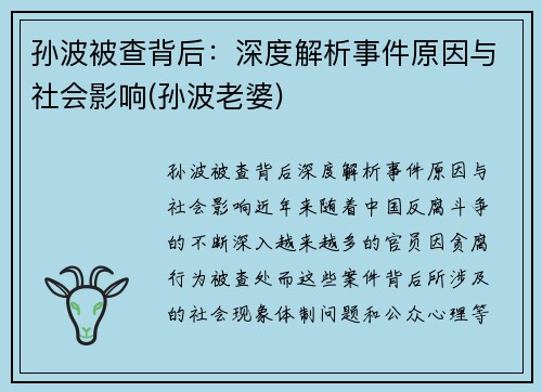 孙波被查背后：深度解析事件原因与社会影响(孙波老婆)