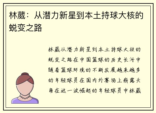 林葳：从潜力新星到本土持球大核的蜕变之路